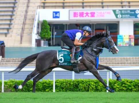Masquerade Ball bereitet sich auf seinen Start im QEII Cup vor Foto: hkjc.com