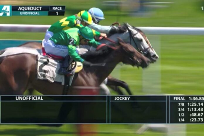 Matilda (Nr. 2) wird knapp geschlagen Dritte