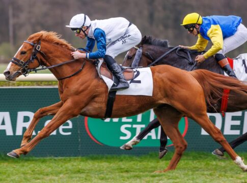 Mister Phoenix siegt unter David Liska