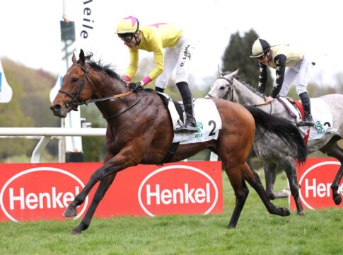 My Universe siegt unter David Liska