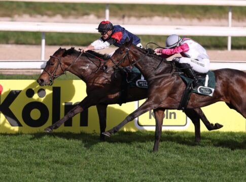 My Valentine siegt unter Martin Seidl