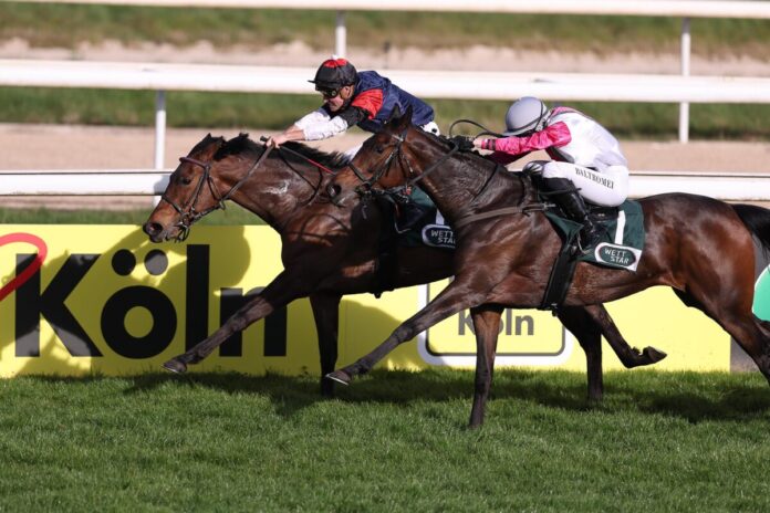 My Valentine siegt unter Martin Seidl