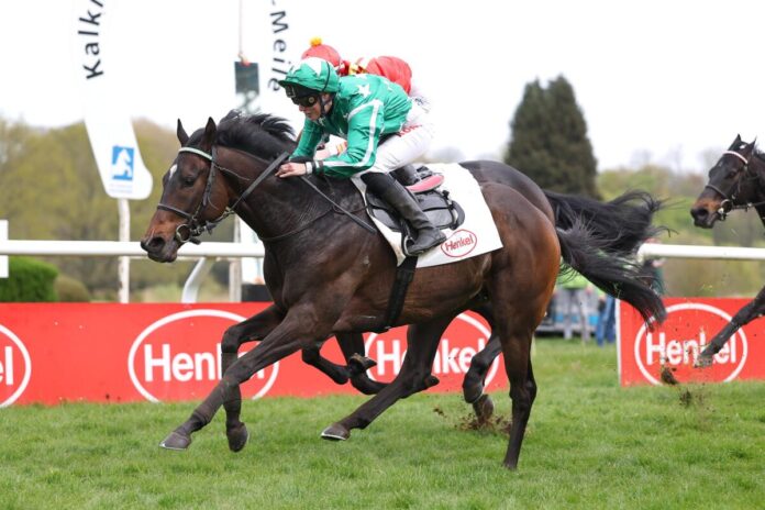 New Emerald siegt unter Sibylle Vogt in der Kalkmann-Frühjahrs-Meile