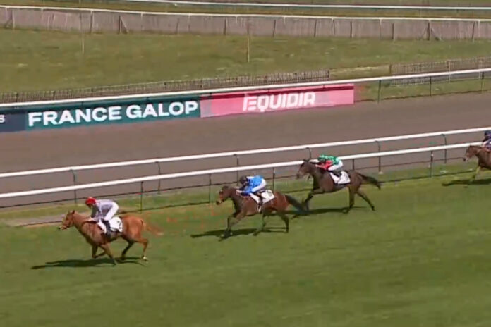 Nina's Victoria (2.v.li.) muss sich nur Demah geschlagen geben Foto: Screenshot