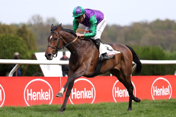 Northern Eclipse siegt unter Bauyrzhan Murzabayev