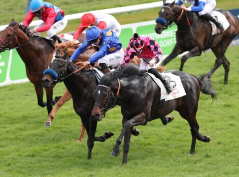 Aus diesem Düsseldorfer Rennen wurden der Sieger Tailwind (re.) und Guevara (2.v.li.) und Mystic Charly (li.) genannt