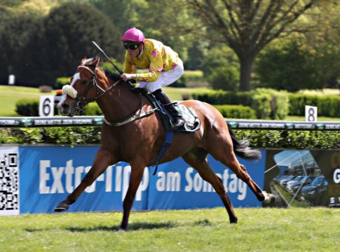 Tiffany Twisted siegt unter Martin Seidl