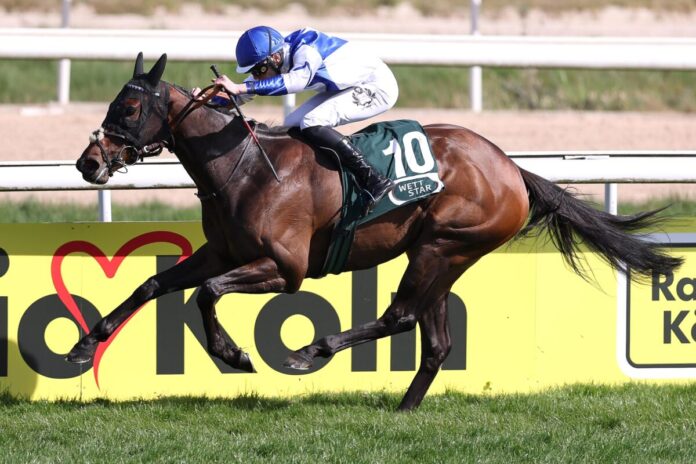 Victory Call siegt unter Leon Wolff