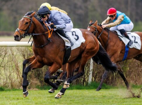 Waladares siegt unter Rene Piechulek