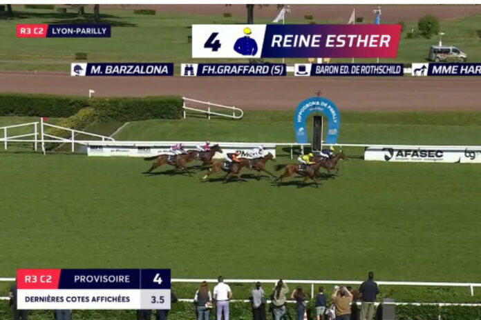 Zauberflöte (3.v.re.) bei ihrem Debüt am Samstag