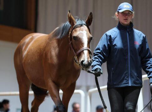 Zauberflöte (Kat.Nr. 61)