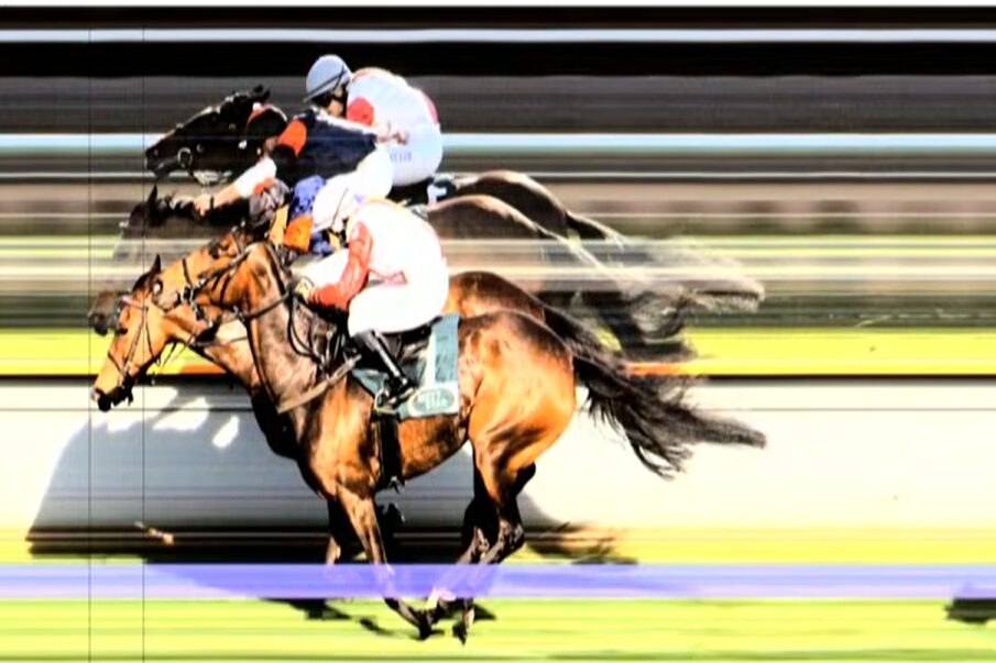 My Valentine hat im Ziel den Kopf vorne