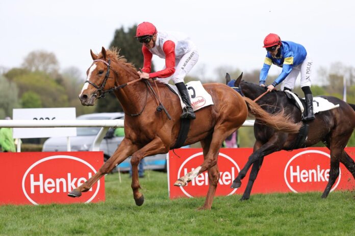 Lifetimes siegt unter Bauyrzhan Murzabayev Lifetimes siegt unter Bauyrzhan Murzabayev