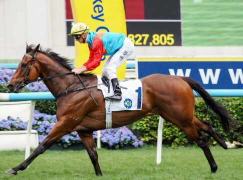 Neue Weltrangliste: Ka Ying Rising weiter on top Ka Ying Rising bei Sieg in Folge Nummer 19 (Hong Kong Jockey Club)