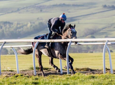 Starkes internationales Feld in der Kalkmann - Frühjahrs-Meile Ice Max Foto: Karl Burke