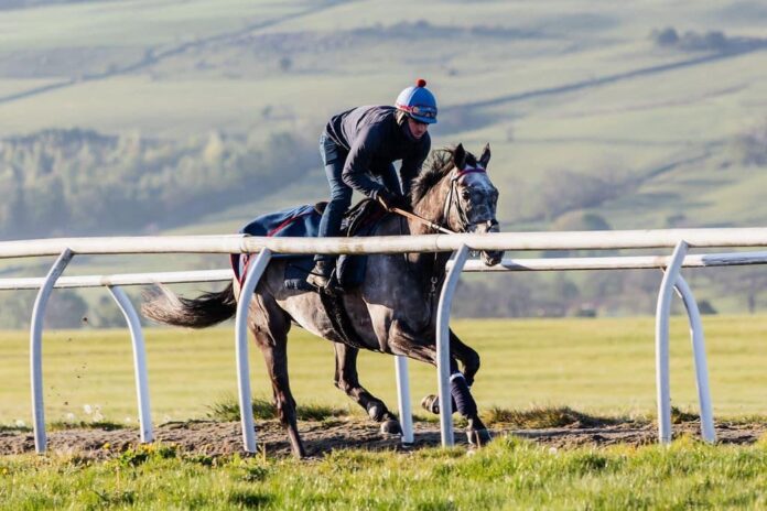 Ice Max Foto: Karl Burke