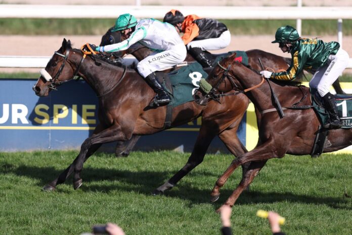 Sugar Baby siegt unter Koen Clijmans