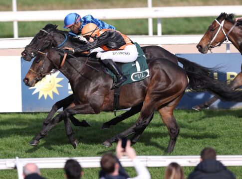 Vive En Foret siegt unter Nina Baltromei