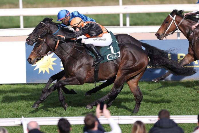 Vive En Foret siegt unter Nina Baltromei