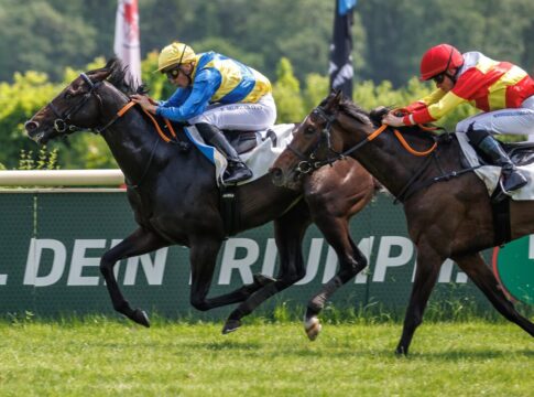 Askalon nächster Alson-Sieger – Ullmann-Treffer bei Hoppegarten-Auftakt Askalon siegt unter Bauyrzhan Murzabayev