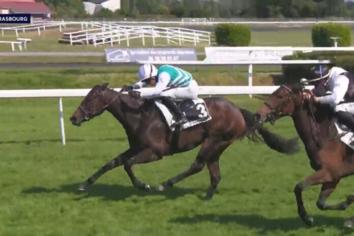 Cahagnes (li.) gewinnt gegen Thalia Foto: Screenshot/Equidia Cahagnes (li.) gewinnt gegen Thalia Foto: Screenshot/Equidia