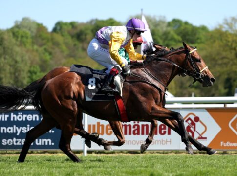 Dragon Magic siegt unter Sean Byrne