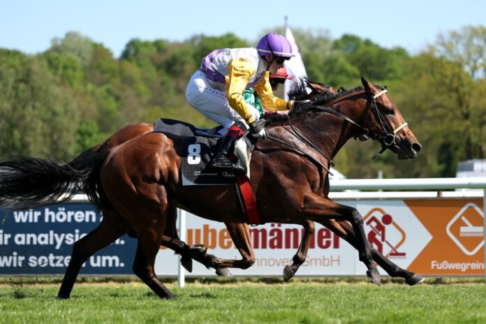 Dragon Magic siegt unter Sean Byrne