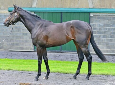 Bild: Tattersalls Ireland