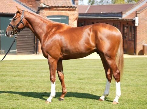 El Paso (Tattersalls)