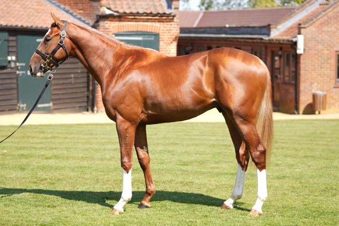 El Paso (Tattersalls)