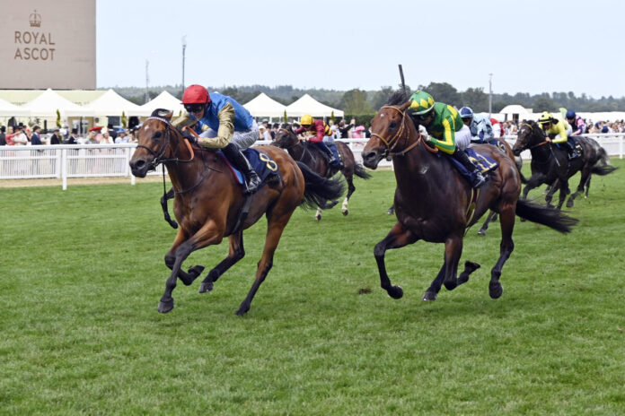 Lazzat gewinnt die Queen Elizabeth II Jubilee Stakes 2025 Foto: Sorge