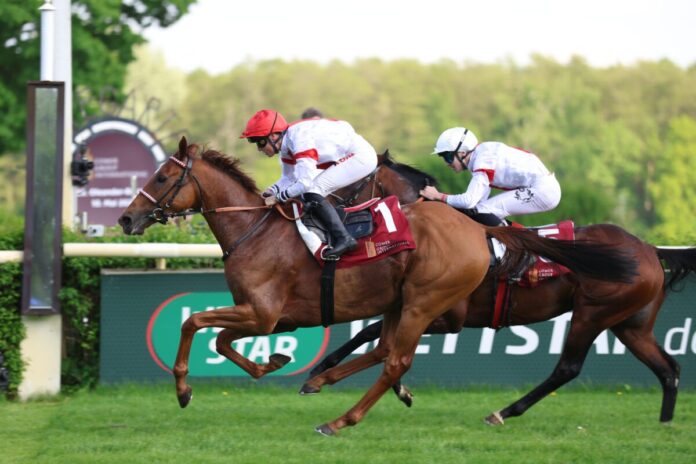 Lordano siegt unter Sibylle Vogt im Comer Group International 55. Oleander-Rennen