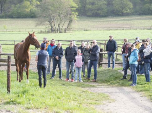 Tag der Rennställe - Große Begeisterung für Pferd, Mensch und Rennsport Tag_der_Rennstaelle_2026-04-18_LQ_by_ulligerlach_D5U6244