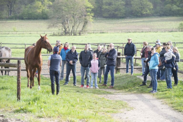 Tag der Rennställe – Große Begeisterung für Pferd, Mensch und Rennsport