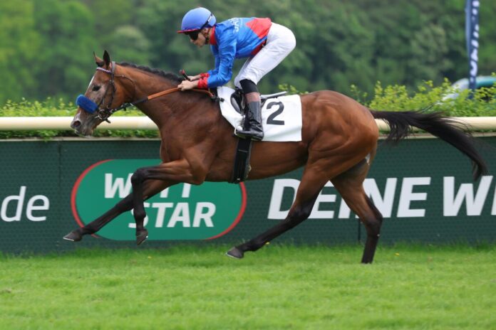 Weekend Warrior siegt unter Thore Hammer-Hansen