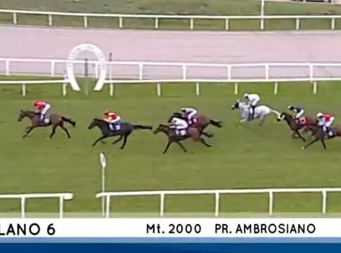 Premio Ambrosiano – Best Lightning Zweiter, Wilko Dritter Woodchuck