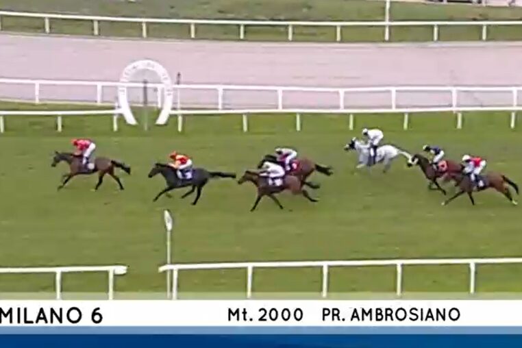 Premio Ambrosiano – Best Lightning Zweiter, Wilko Dritter