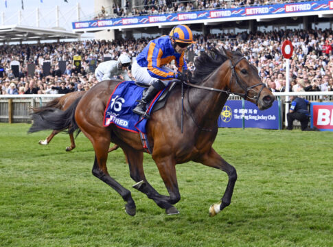 True Love gewinnt die 1000 Guineas Foto: Sorge