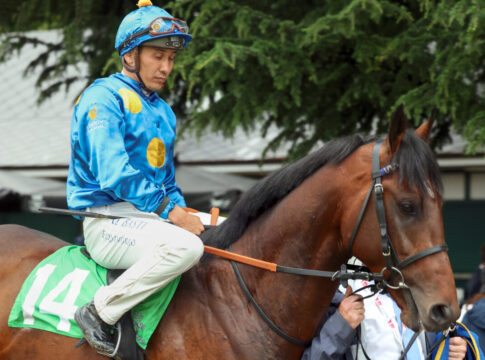 Mailand, Salitos with Bauyrzhan Murzabayev