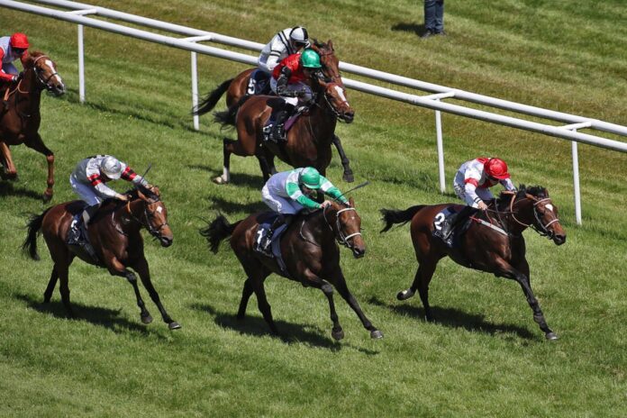 Alleno siegt unter Sibylle Vogt im Grosser Preis von Tattersalls, Gr. II Alleno siegt unter Sibylle Vogt im Grosser Preis von Tattersalls