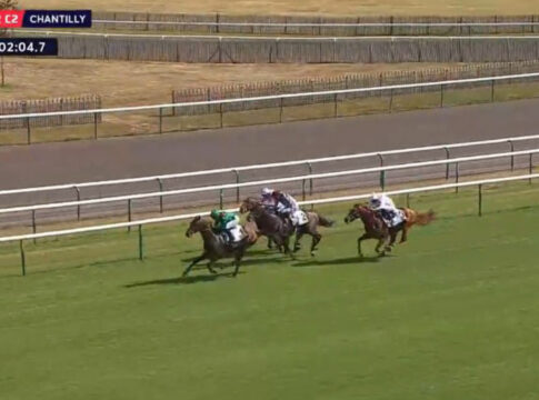 Daryzan gewinnt in Chantilly Foto: Screenshot/Equidia
