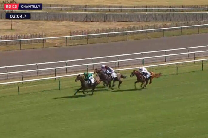 Daryzan gewinnt in Chantilly Foto: Screenshot/Equidia Daryzan gewinnt in Chantilly Foto: Screenshot/Equidia