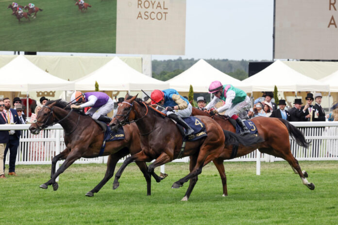 Earth Shot (rote Kappe) gewinnt in Royal Ascot (galoppfoto.de)