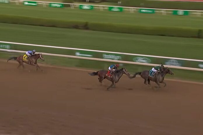 Golden Tempo Belmont