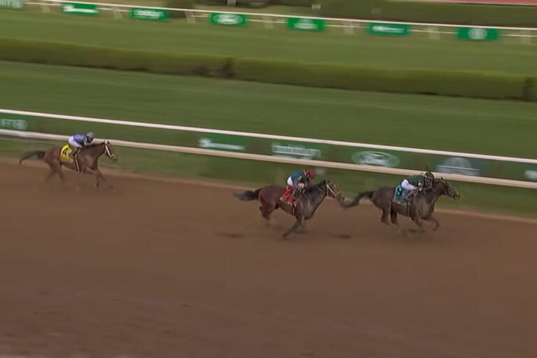 Golden Tempo Belmont