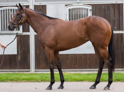 Kentucky Rain (Goffs)