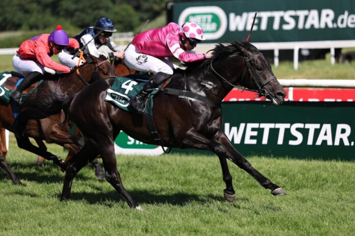 King Of The Night siegt unter Leon Wolff