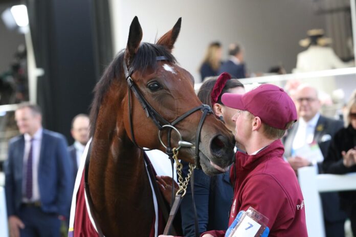 Diamond Necklace siegt unter Christophe Soumillon im Qatar Prix Marcel Boussac - Criterium des Pouliches, Gr.1 Diamond Necklace (Archiv)
