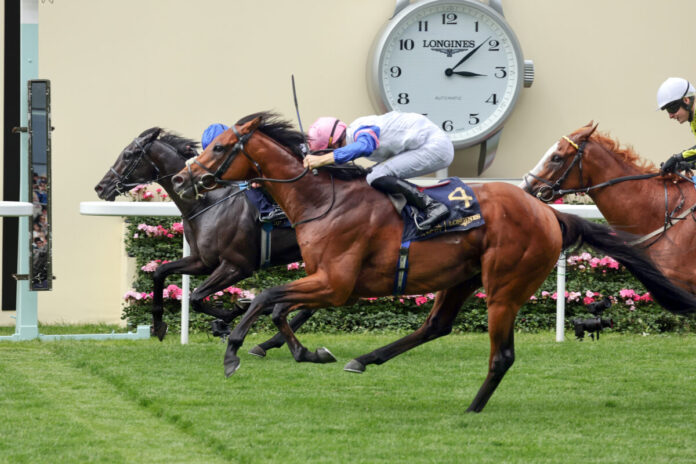 Limestone mit Dylan Browne McMonagle gewinnt die Queen's Vase knapp vor dem innen liegenden Del Maro (galoppfoto.de)
