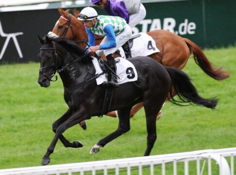 Gruppe-Siegerin Princess Badee beendet Karriere - Wechsel in die Zucht Princess Badee